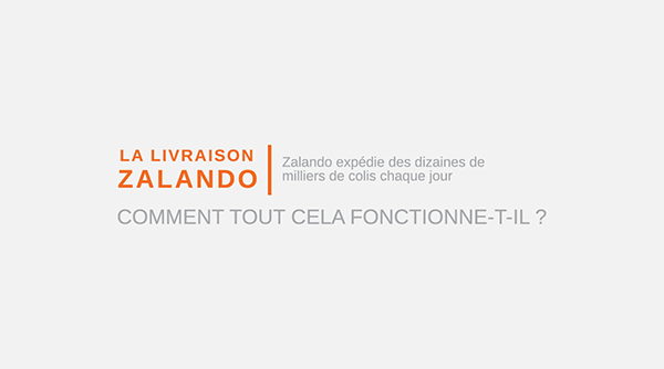 Le Voyage Du Colis Zalando